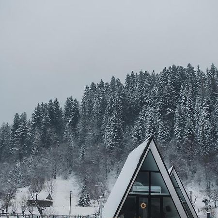 Mountains Hut Villa Mykulychyn Exterior photo